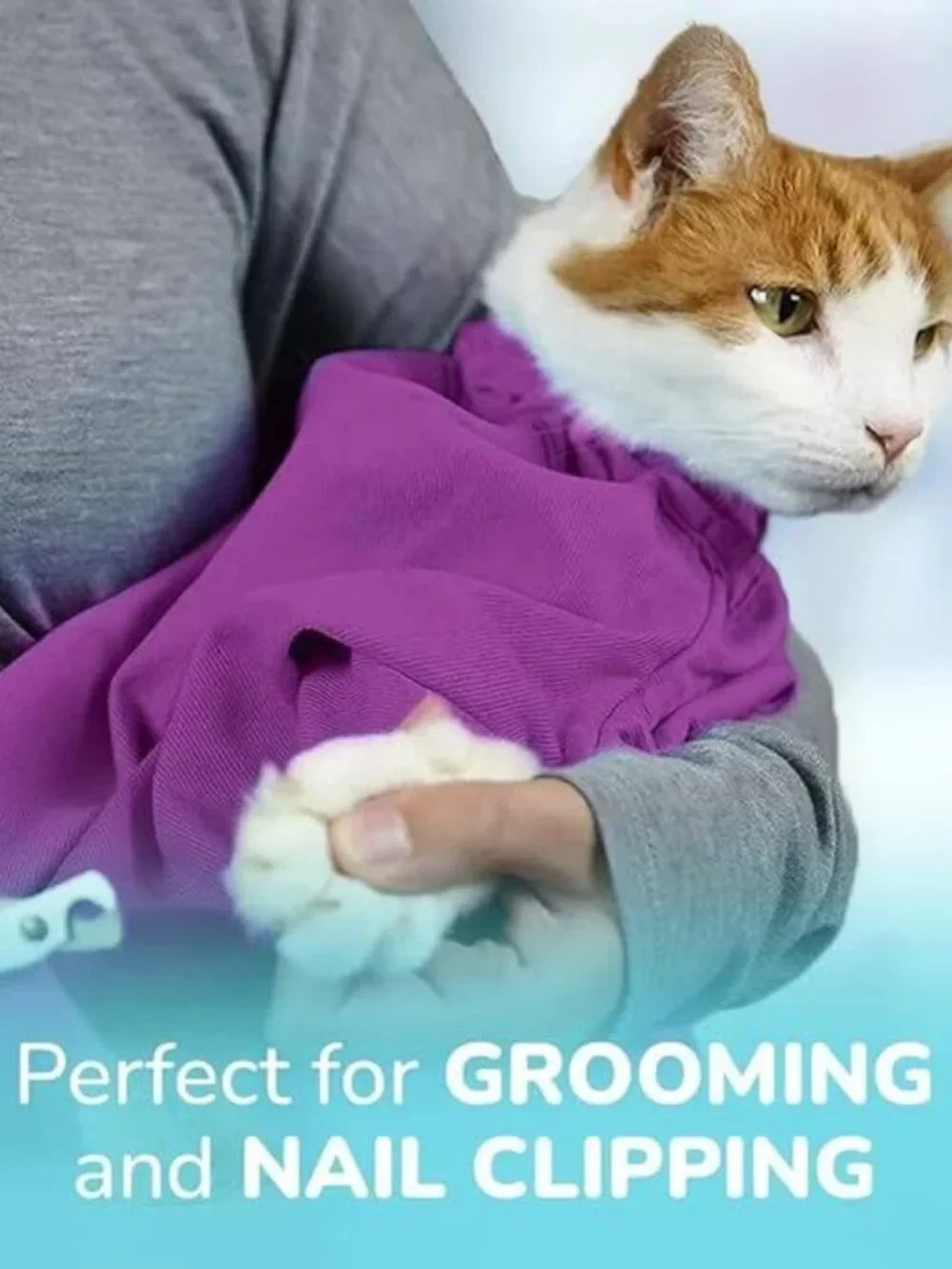 Cat-in-the-Bag Cozy Comfort Carrier EZ Zip Lavender Small Adjustable Collar
